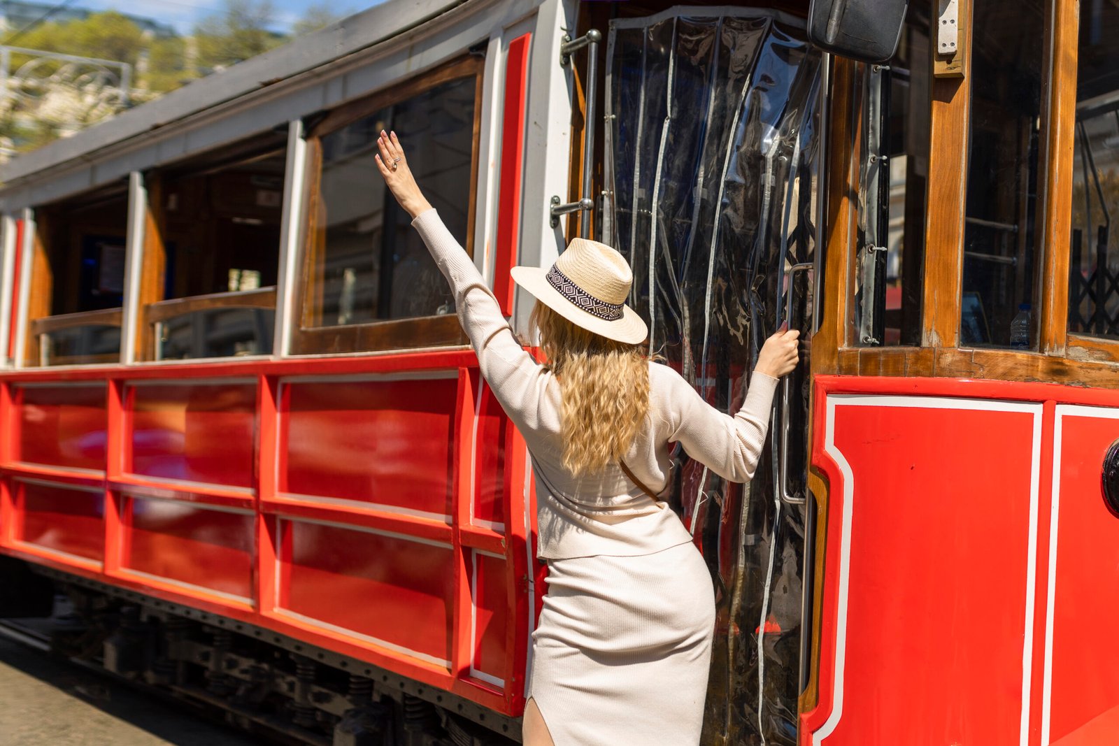 Puffing Billy Steam Train Half-Day Tour - Image 3