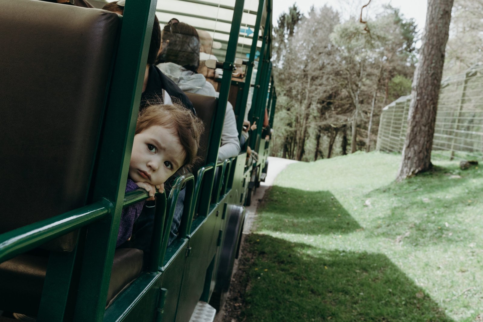 Puffing Billy Steam Train Half-Day Tour - Image 4